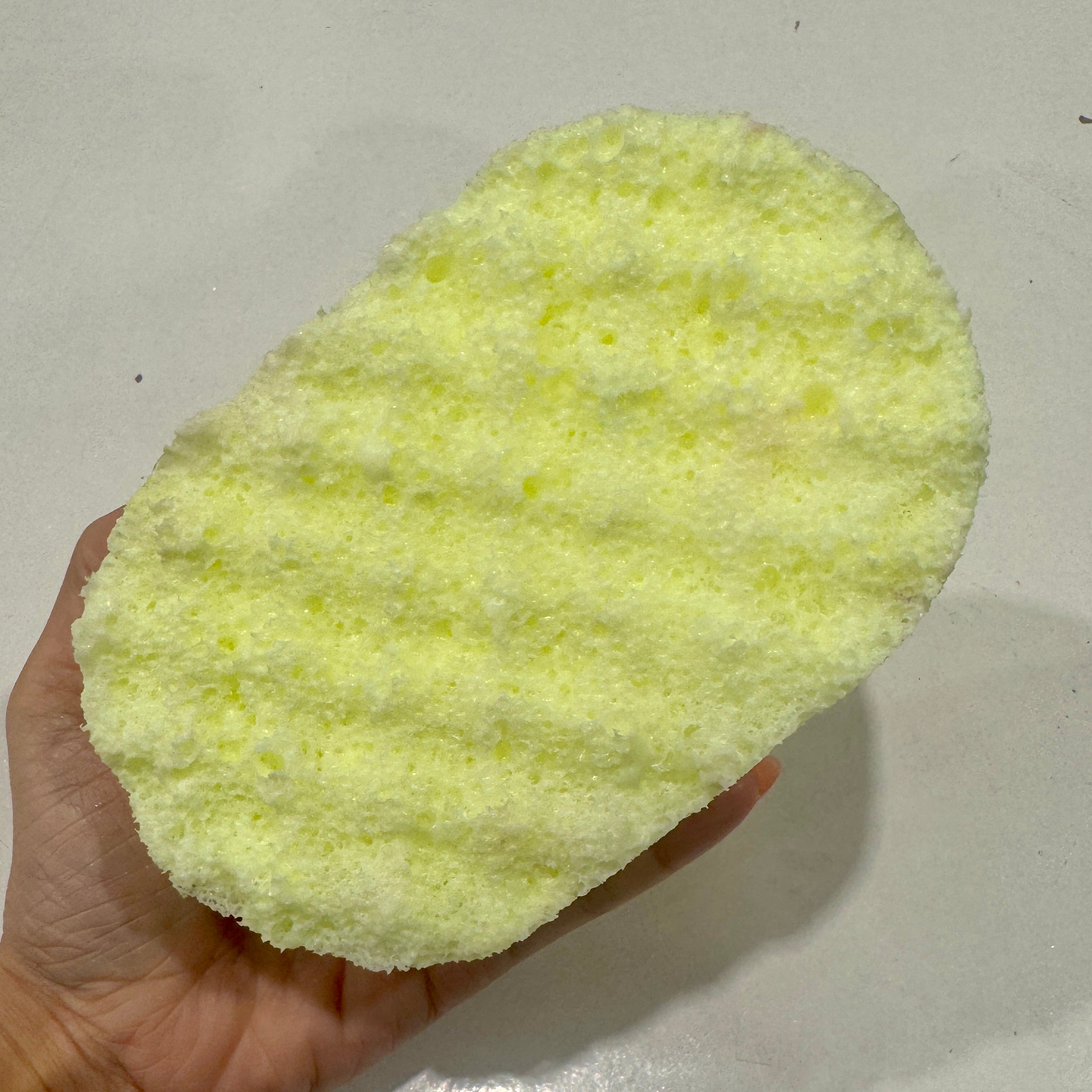 Coconut Exfoliating Soap Sponge