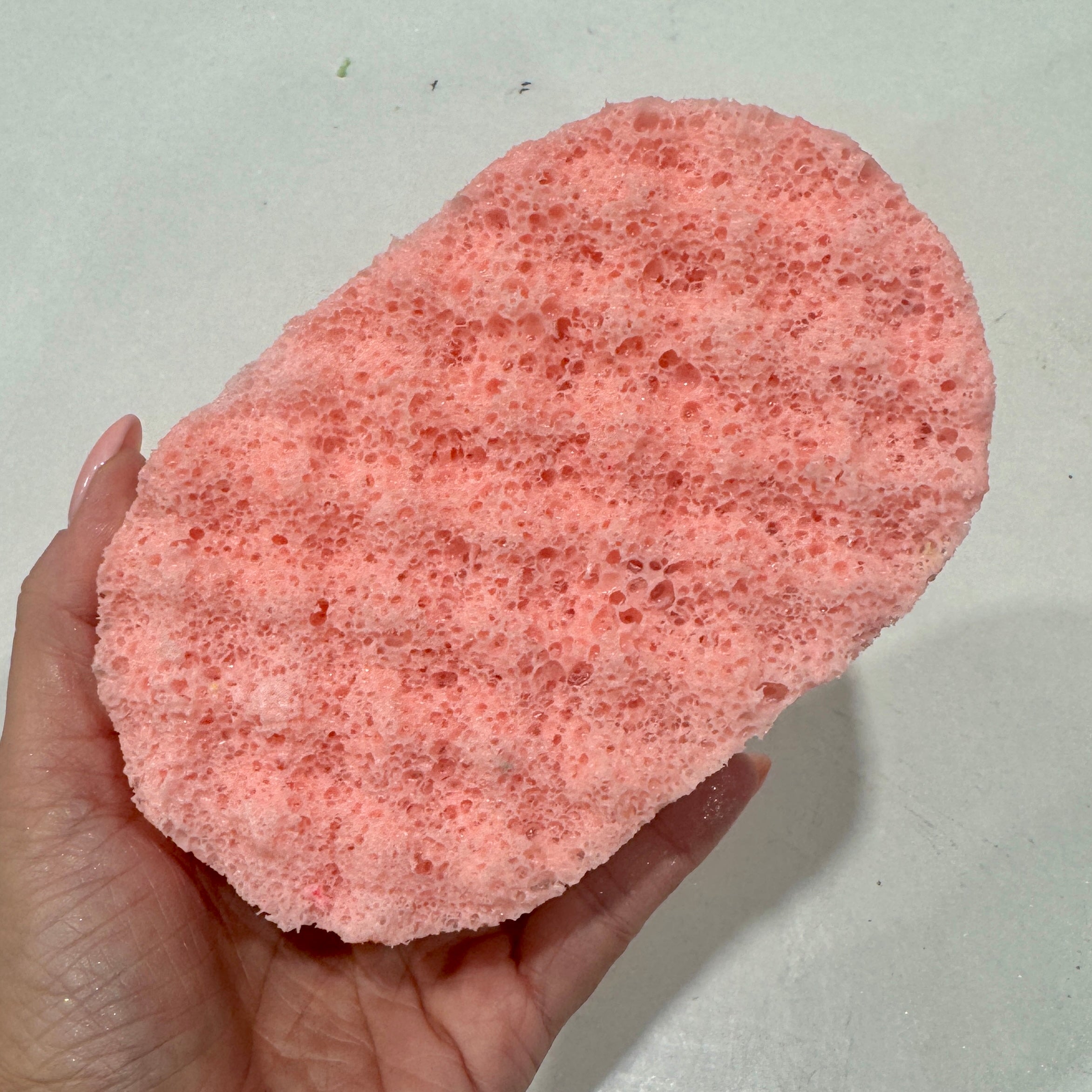 La Belle Exfoliating Soap Sponge