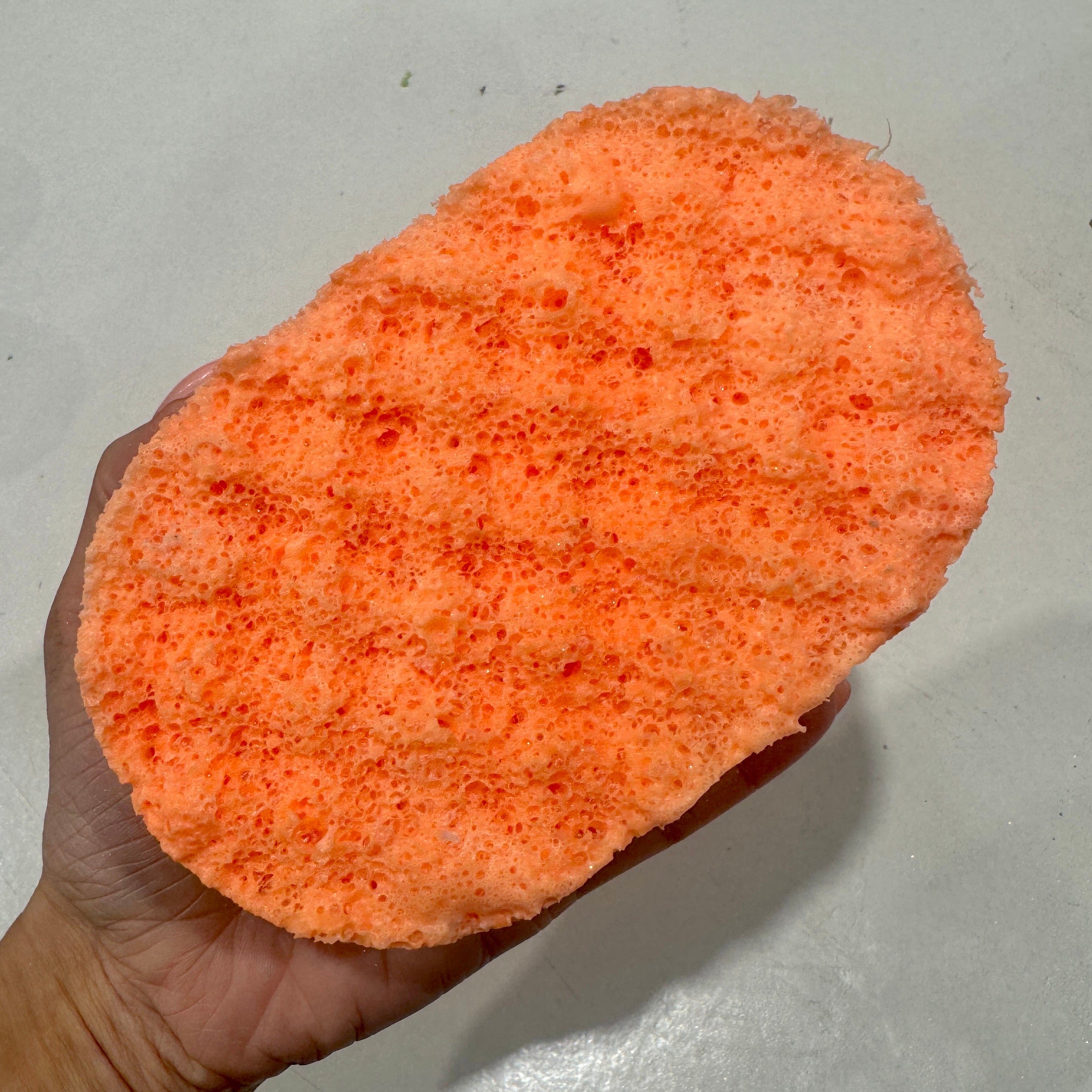 Pumpkin Exfoliating Soap Sponge